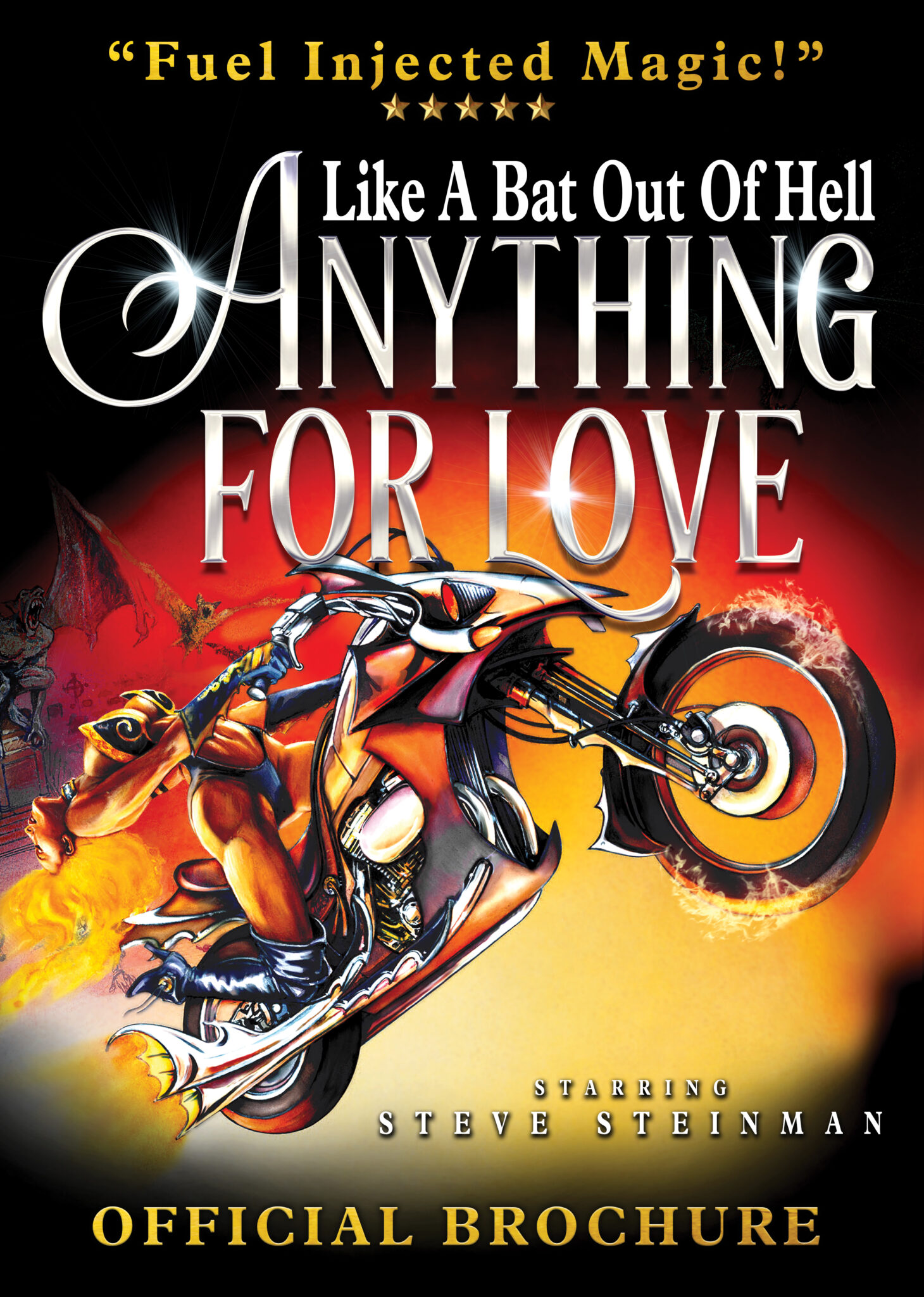 Anything For Love Brochure